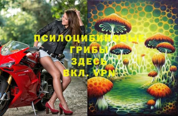 таблы Арсеньев